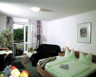 Am Pfahl Hotel Viechtach